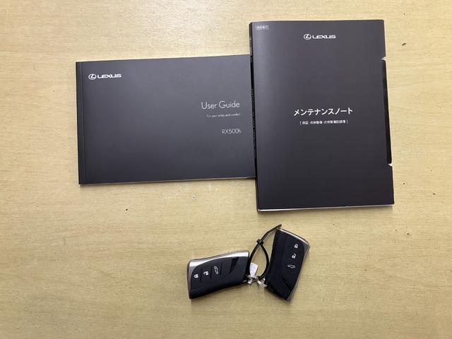 RX RX500h Fスポーツパフォーマンス RX500h Fスポーツパフォーマンス(20枚目)