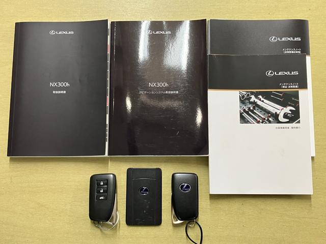 NX NX300h Iパッケージ(21枚目)