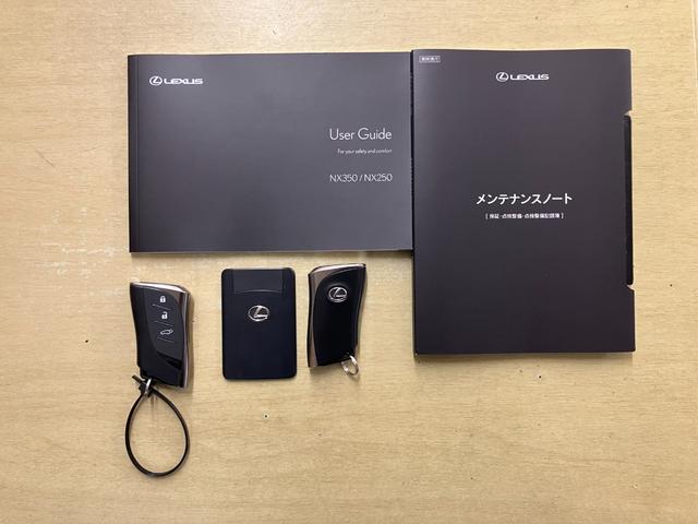 NX NX250(20枚目)