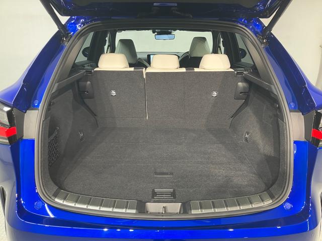 NX NX350h Fスポーツ(7枚目)