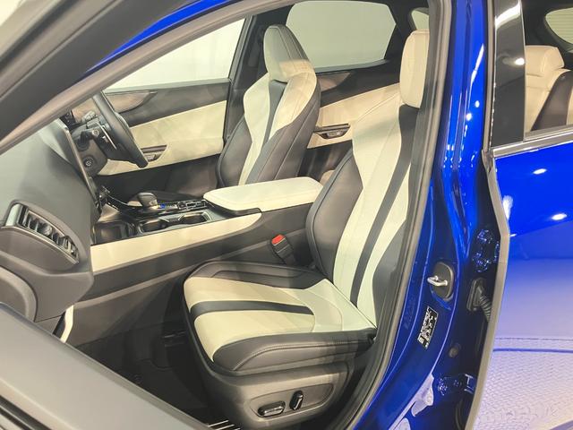 NX NX350h Fスポーツ(10枚目)