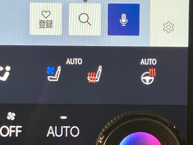 NX NX350h Fスポーツ(16枚目)