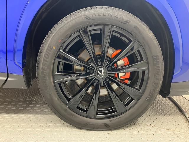 NX NX350h Fスポーツ(19枚目)