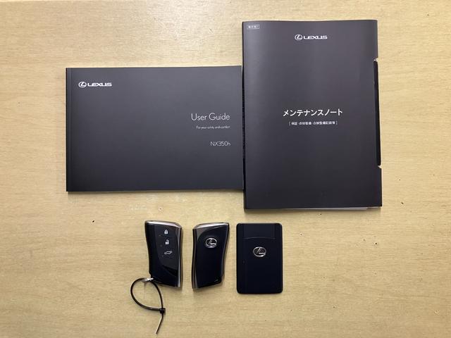 NX NX350h Fスポーツ(20枚目)