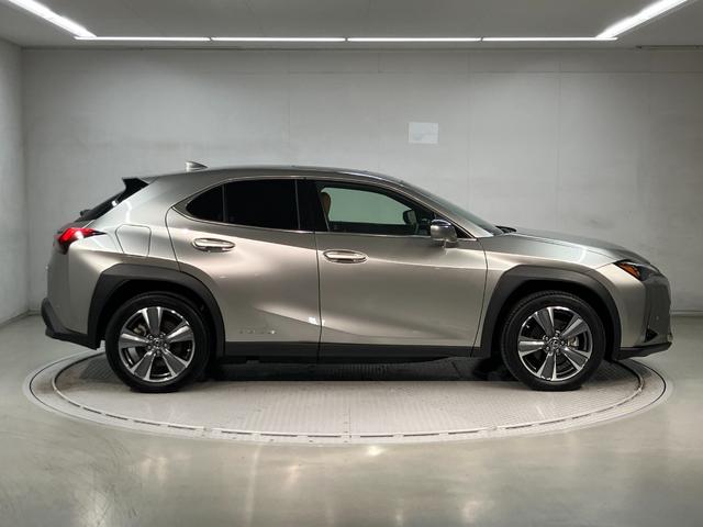 UX UX300e バージョンL(4枚目)