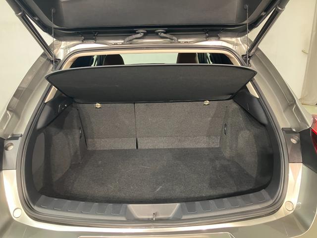 UX UX300e バージョンL(7枚目)