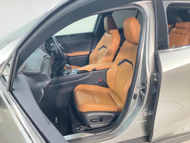 UX UX300e バージョンL(9枚目)