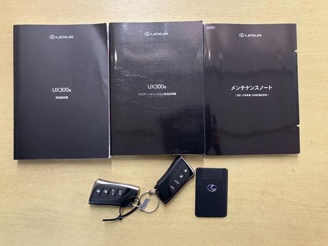 UX UX300e バージョンL(20枚目)