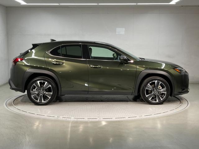 UX UX200 バージョンL(4枚目)