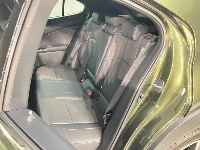 UX UX200 バージョンL(11枚目)