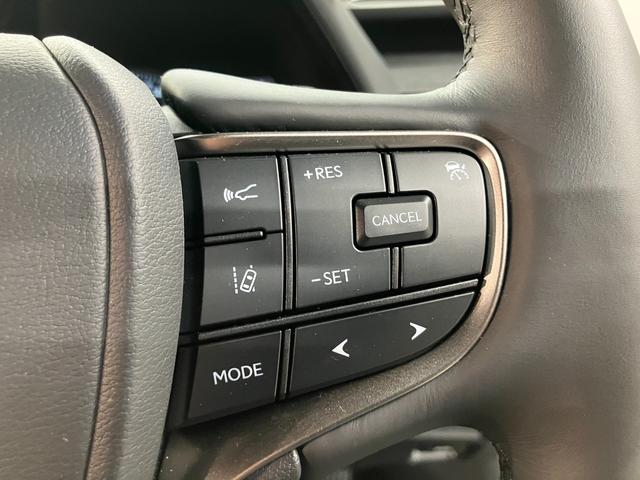 UX UX200 バージョンL(16枚目)