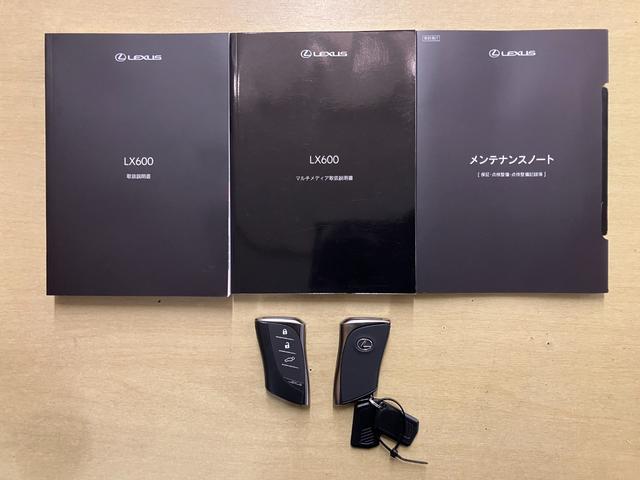 ＬＸ ＬＸ６００　エグゼクティブ（20枚目）