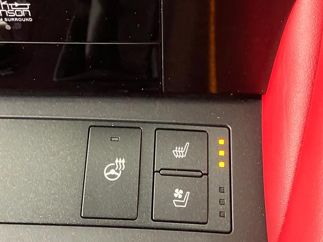 RC RC300 Fスポーツ(15枚目)