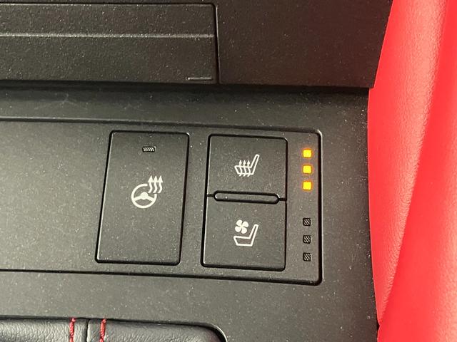 RC F カーボンエクステリアパッケージ(15枚目)