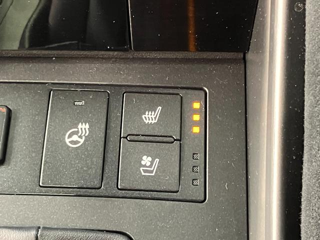 IS IS500Fスポツパフォーマンスファストエディション(17枚目)