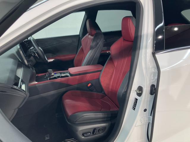 RX RX500h Fスポーツパフォーマンス RX500h Fスポーツパフォーマンス(10枚目)