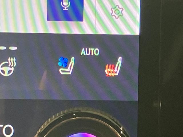 RX RX500h Fスポーツパフォーマンス RX500h Fスポーツパフォーマンス(16枚目)