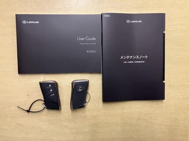RX RX500h Fスポーツパフォーマンス RX500h Fスポーツパフォーマンス(20枚目)