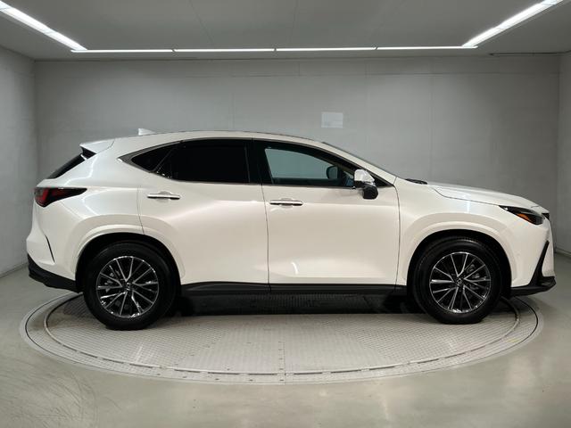 �y�b�o�n�Ƃ́z�`�b�����������������@�o�����|�n���������`���������N�T�X����N���A�����F�蒆�ÎԂ������܂�