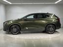 ＮＸ ＮＸ３５０ｈ　バージョンＬ（5枚目）
