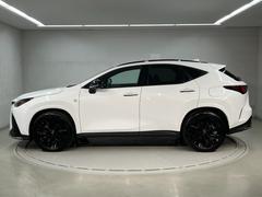 ڣãУݾڡۣǯ֡ԵΥ̵¤ݾڽ˵ܤ̵«ޤǧż֤ʤǤϤĹݾڤǰ¿Ǥ 5