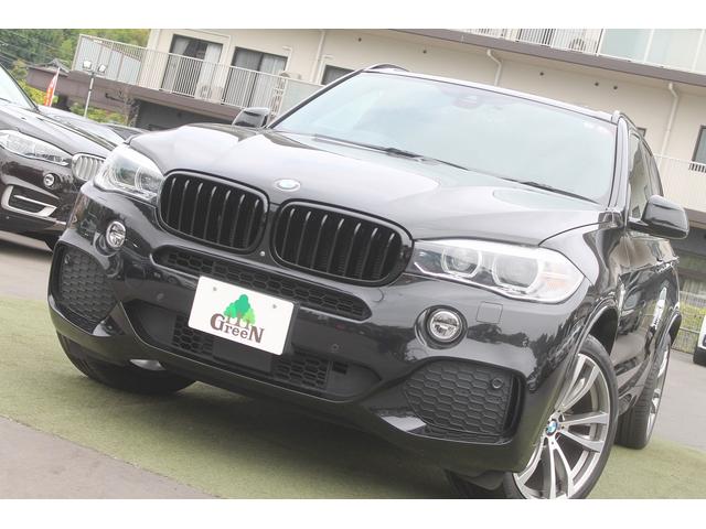 Ｘ５ ｘＤｒｉｖｅ　３５ｄ　Ｍスポーツ　黒本革スポーツシート　ＡＣＣ　インテリジェントセーフティー　純正ＨＤＤナビ地デジ　純正Ｍスポーツフルエアロ　オプション２０ＡＷ　パドルシフト　シートヒーター　前後ドラレコ　ブラックグリル　禁煙車（49枚目）