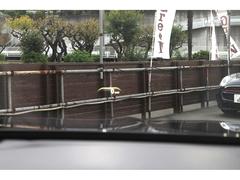 �إåɥ��åץǥ����ץ쥤�ϻ�������Ȥ���®�٤�ʥӰ���򤴳�ǧ���������ޤ��� 6