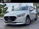 carPhoto