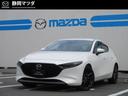 洗練された匠の技で美しいボディーラインに映り込む、四季折々を感じてほしい
