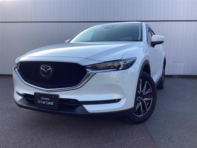 ãءݣ ӡץƥ֡ӡץƥ 0601717A20251109U001 1