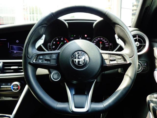 ジュリア ヴェローチェ(19枚目)