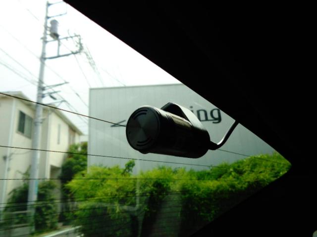 ジュリア ヴェローチェ(20枚目)