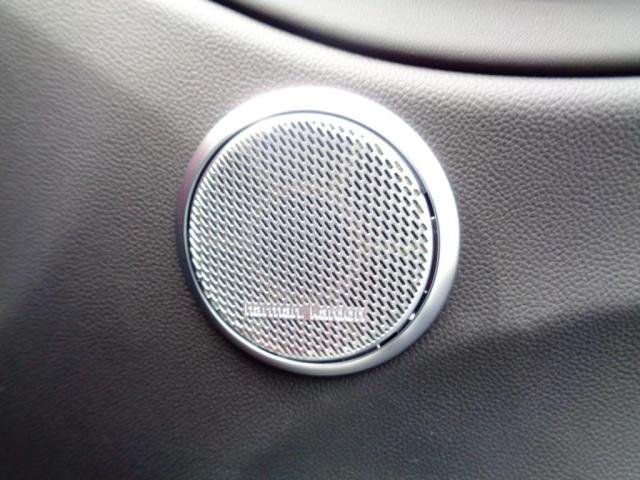 ジュリア ヴェローチェ モノクロームエディション(16枚目)