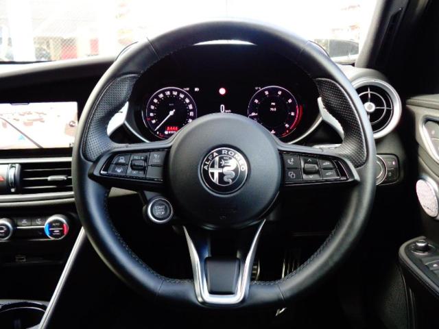 ジュリア ヴェローチェ モノクロームエディション(20枚目)