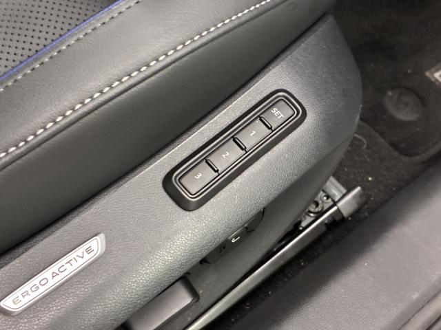パサート eTSI Rライン DCCPro(12枚目)