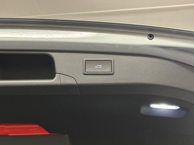 パサート eTSI Rライン DCCPro(17枚目)