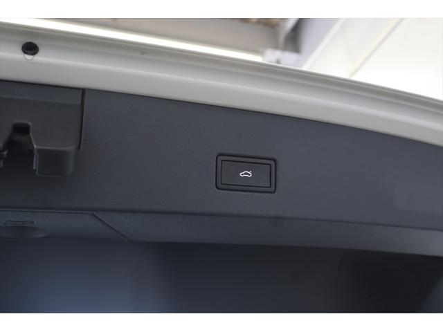 T-ロック TDI Rライン DCC(20枚目)