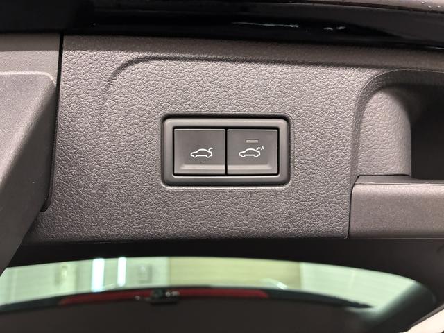 パサートオールトラック ＴＤＩ　４モーション　アドバンス　ＤＣＣＰＫＧ（22枚目）