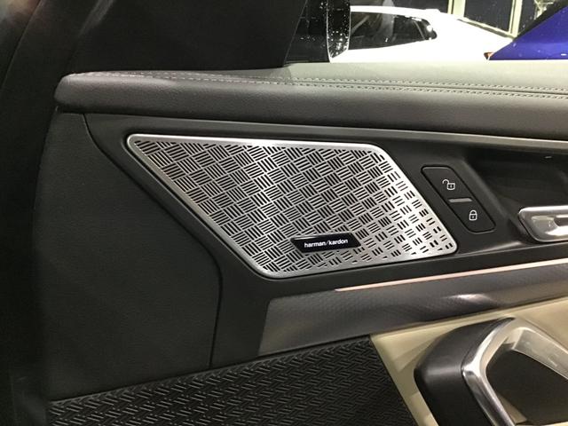 X1 xDrive 20d Mスポーツ アクティブクルーズコントロール ヘッドアップディスプレイ 全周囲カメラ 白革 コンフォートアクセス 電動リアゲート アンビエントライト ハーマンカードンスピーカー アップルカープレイ ワイヤレス充電(46枚目)