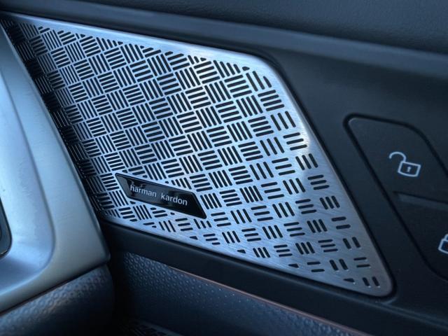 X1 xDrive 20d Mスポーツハイラインパッケージ 認定中古車/パノラマガラスサンルーフ/ハイラインPKG/ブラックヴァーネスカレザーシート/フロントシートヒーター/ハーマンカードンスピーカー/ドライビングアシストプロフェッショナル/パーキングアシスト(19枚目)