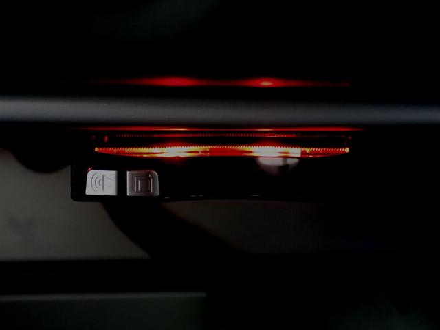 エリーゼ 　ジャパンオリジナル－ネオクラシックエディション／国内３６台限定車／ツーリングパック／コニャックブラウンレザーシート／ソフトトップ／純正アルミホイール／エアコン／プッシュスタートエンジン／ドラレコ（64枚目）