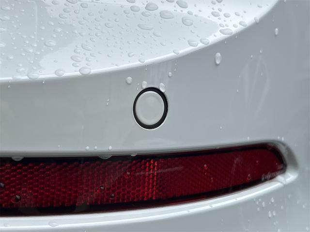 ゴルフヴァリアント ＴＤＩ　Ｒライン　プラチナムエディション　バックカメラ　ナビ　オートクルーズコントロール　衝突被害軽減システム　アルミホイール　オートライト　ＬＥＤヘッドランプ　ヘッドライトウォッシャー　サンルーフ　スマートキー（22枚目）
