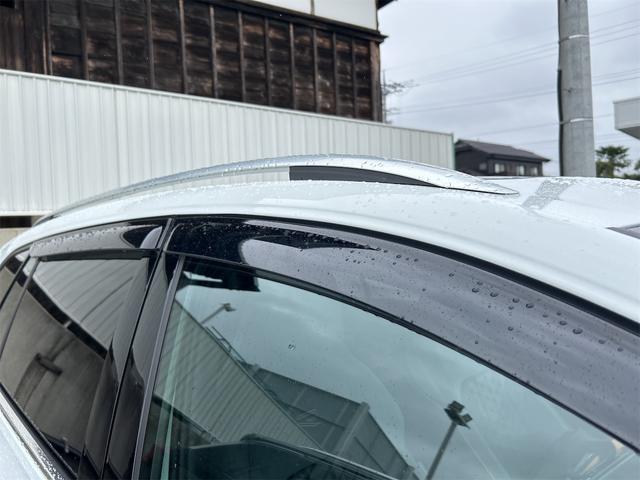 ゴルフヴァリアント ＴＤＩ　Ｒライン　プラチナムエディション　バックカメラ　ナビ　オートクルーズコントロール　衝突被害軽減システム　アルミホイール　オートライト　ＬＥＤヘッドランプ　ヘッドライトウォッシャー　サンルーフ　スマートキー（36枚目）