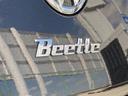 VOLKSWAGEN THE BEETLE