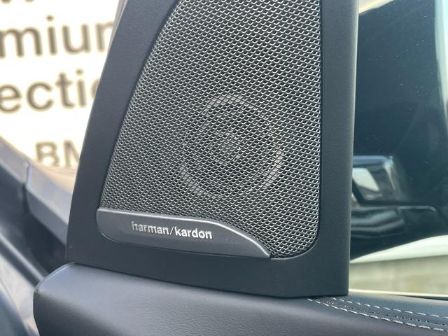 Ｘ７ ｘＤｒｉｖｅ　４０ｄ　Ｍスポーツ　弊社顧客下取り車／６人乗り／スカイラウンジサンルーフ／２列目コンフォートシート／黒レザー／４輪エアサス／インテグレイテッドアクティブステアリング／エグゼクティブドライブプロ／アイコニックグロー（29枚目）