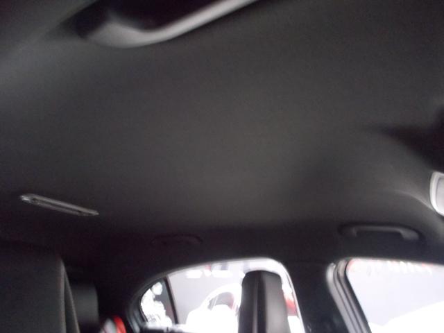 天張り状態も良好です！