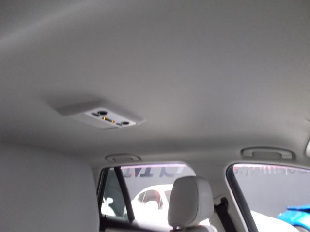 �V�����Ԃ��ǍD�ł��I