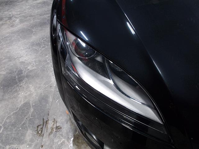 �d���i�[�~���[�@�t�H�O�����v�@���g���N�^�u���d�����A�X�|�C���[�@�I�v�V�������U�[�V�[�g�@�d�r�o�G���N�g���j�b�N�X�^�r���[�[�V�����v���O�����@�d�c�r�G���N�g���j�b�N�f�B�t�@�����V�������b�N�V�X�e��