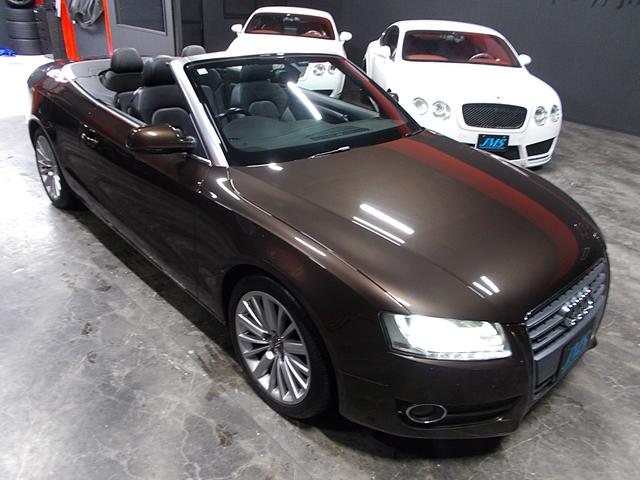 �d���i�[�~���[�@�t�H�O�����v�@�V���`�s�t���^�C���S�v�c�^�[�{�G���W���@�d�r�o�G���N�g���j�b�N�X�^�r���[�[�V�����v���O�����@�d�c�r�G���N�g���j�b�N�f�B�t�@�����V�������b�N�V�X�e��