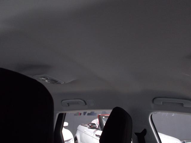 �V�����Ԃ��ǍD�ł��I